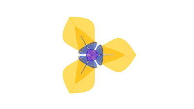 Law of Two Segments