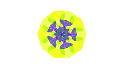 SMCR Model