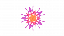 5D