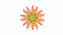 ADKAR Change Model