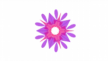 AIM Framework