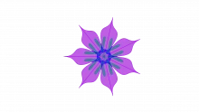Availability Heuristic