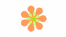 BACCM framework