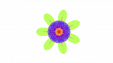 CODM Model