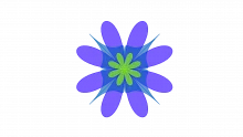 Cultural Web Model