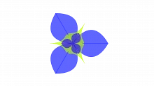 Cursor Vote