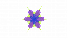 Denominator Neglect