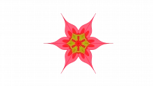 Dotmocracy
