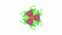 ESBI Model