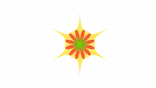 Enterprise Agile Frameworks