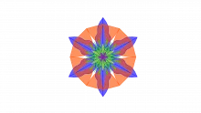 False Consensus Effect