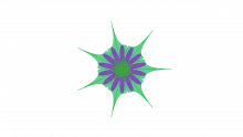 Four Corners Model