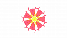 GROW Model
