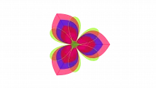 Hawthorne Effect