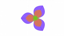 Jigsaw Method