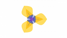 Law of Two Segments