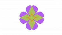 MECE Framework
