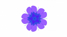 Personal Construct Theory