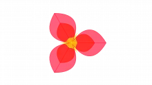 Punctuated-Equilibrium Theory