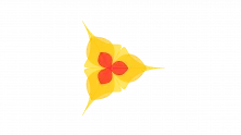 RACI