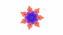 Review: White Coat Investor