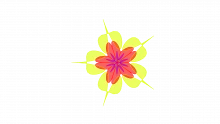 SAMR Model