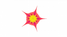 SAPL Model