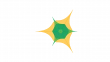 SAVE Framework