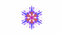 SCIPAB Model