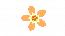 SCRAP Framework