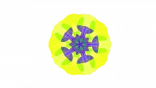 SMCR Model
