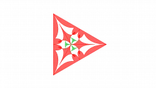 SPACE Analysis