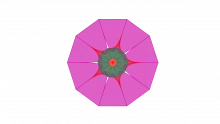 ShuHaRi
