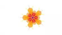 Strategy Drives Digital Transformation