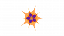 The CLEAR Model