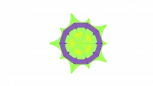 Three Circles Framework