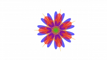 Zeigarnik Effect