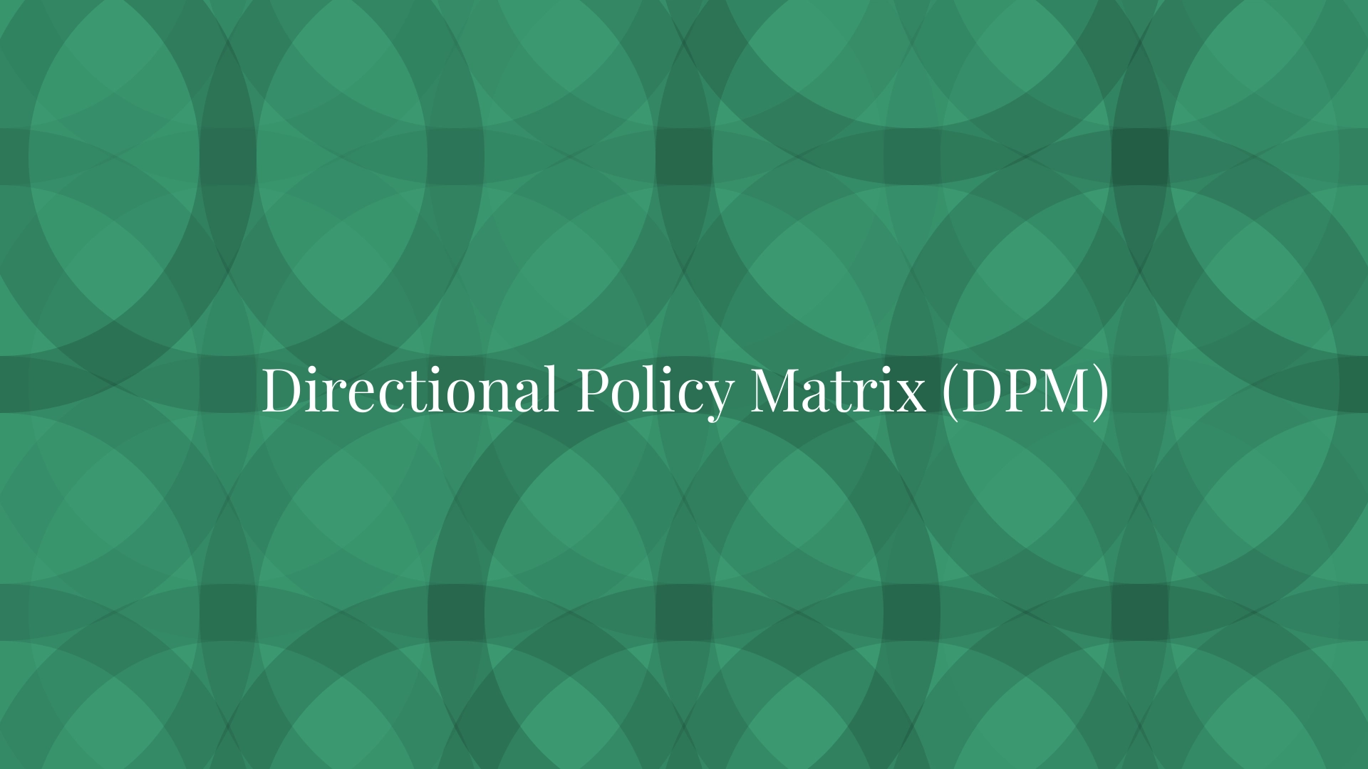 Directional Policy Matrix (DPM)
