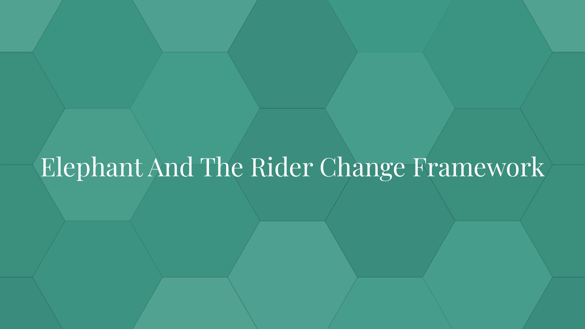 Elephant And The Rider Change Framework