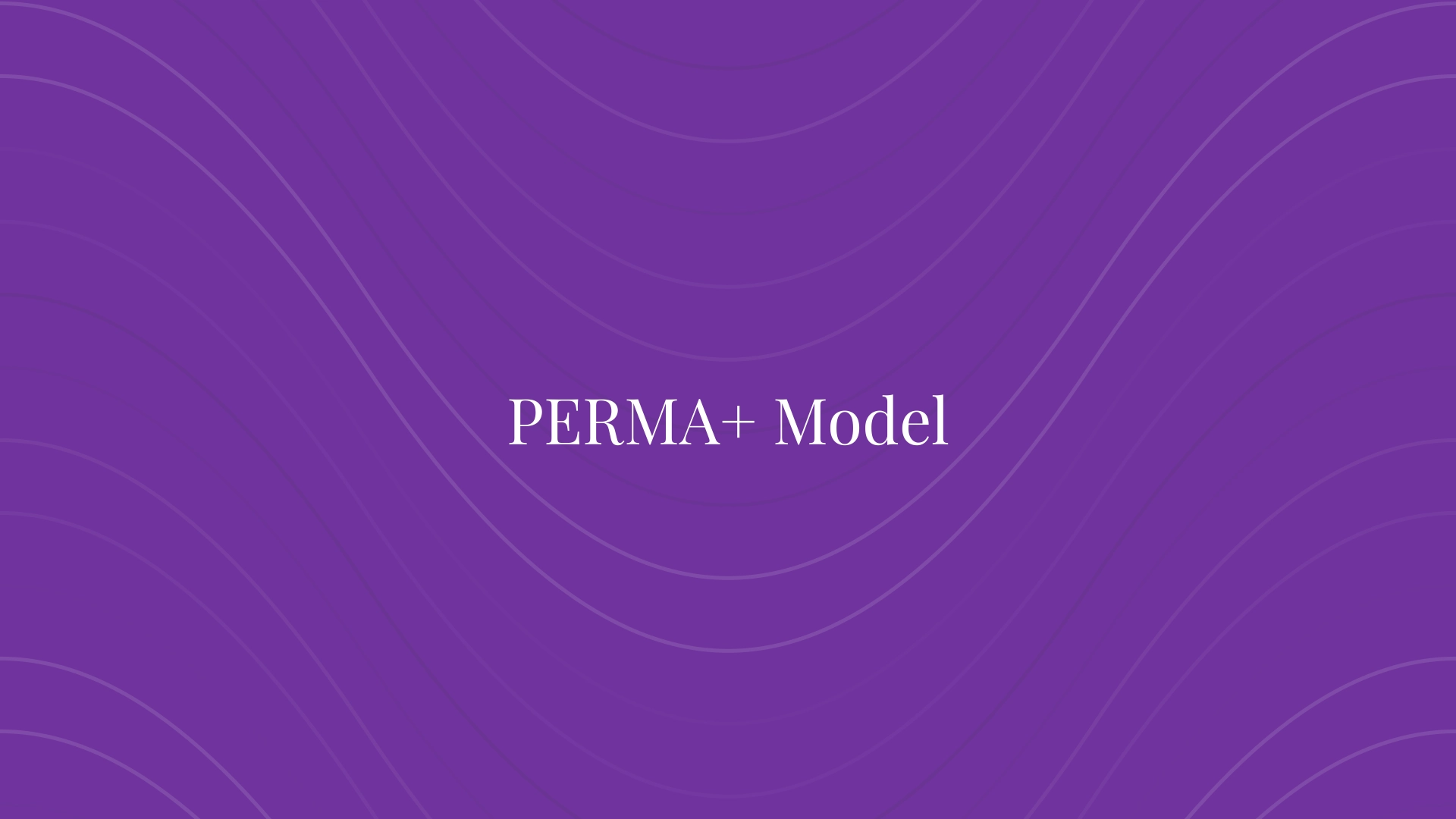 PERMA+ Model